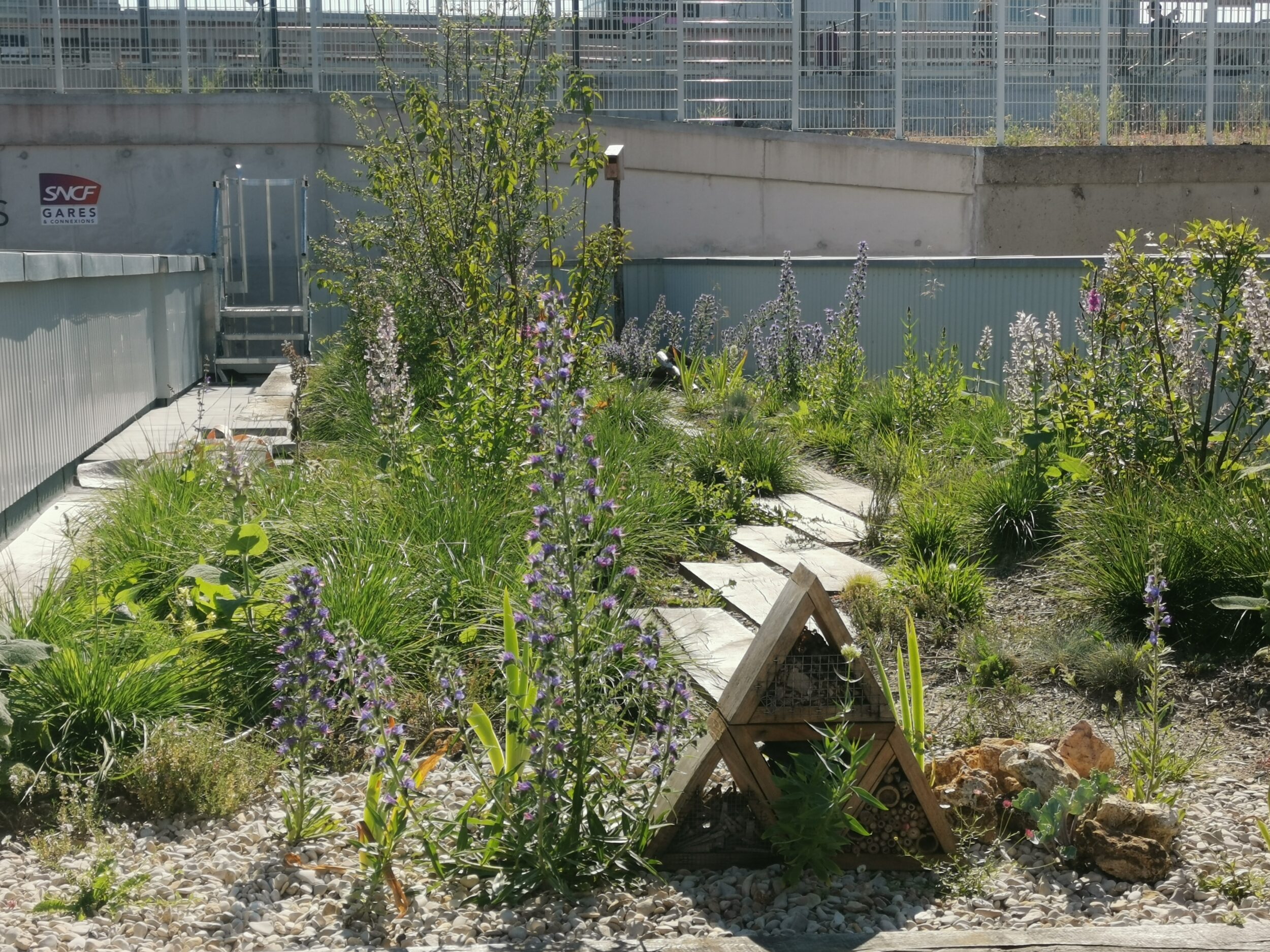 Bâtiment voyageur de la gare de St Denis - Topager