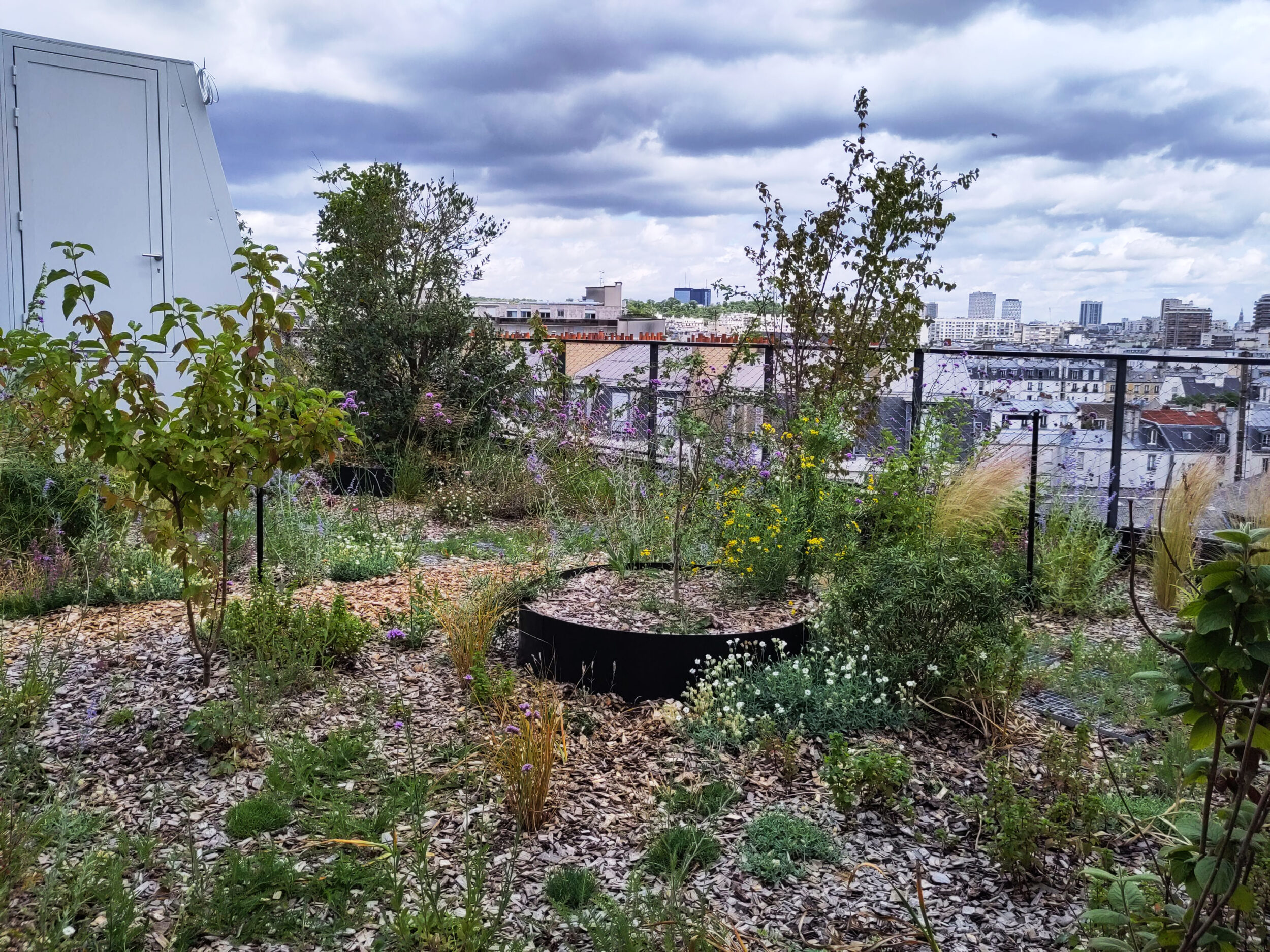 Ledru Rollin - Topager