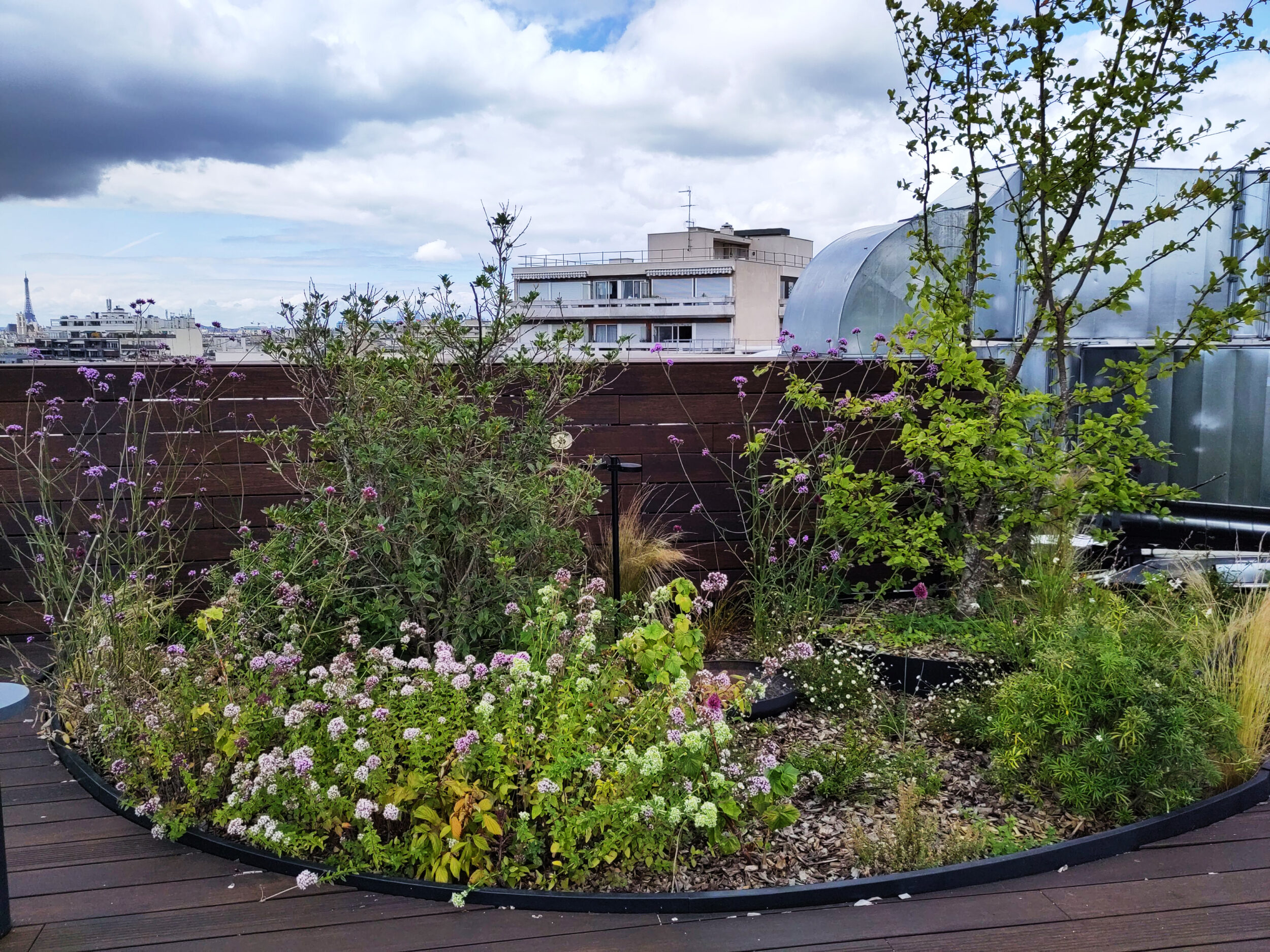 Ledru Rollin - Topager