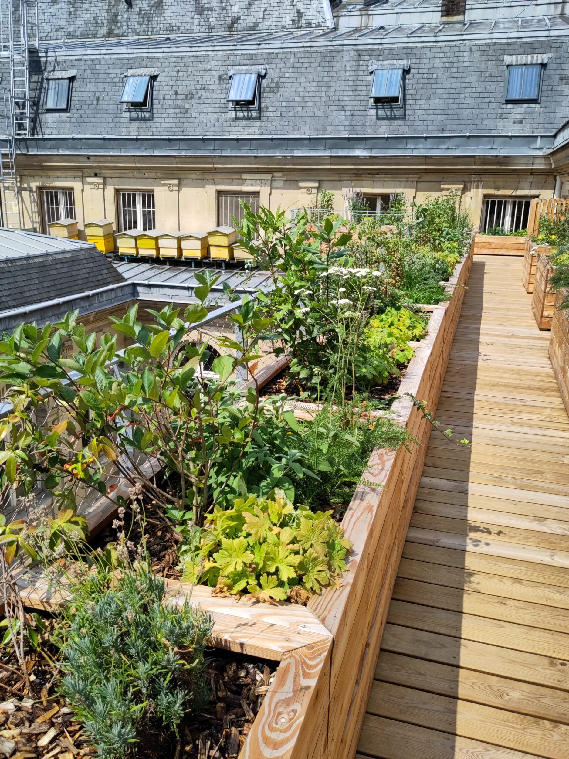 Académie du Climat - Topager