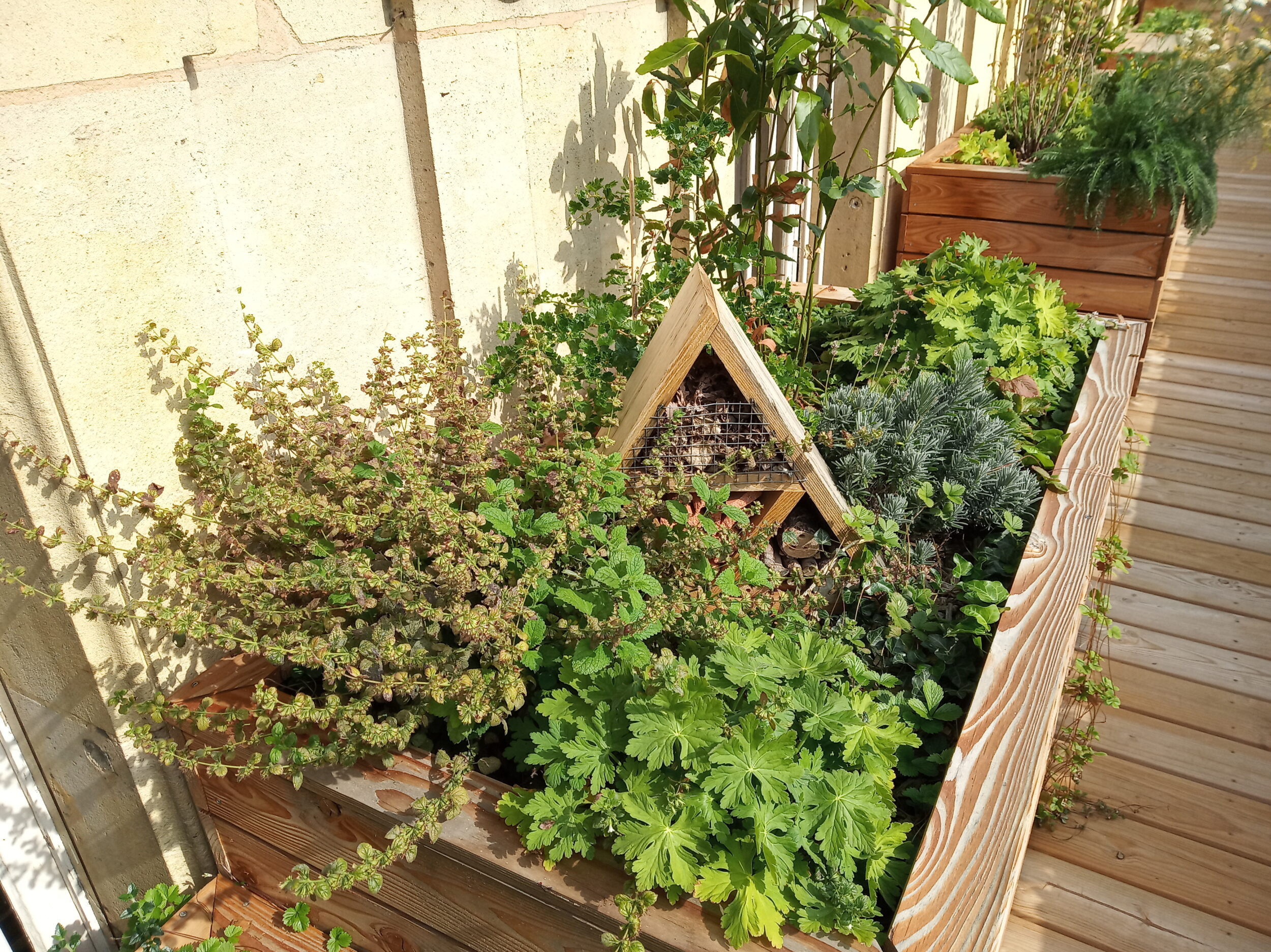 Académie du Climat - Topager