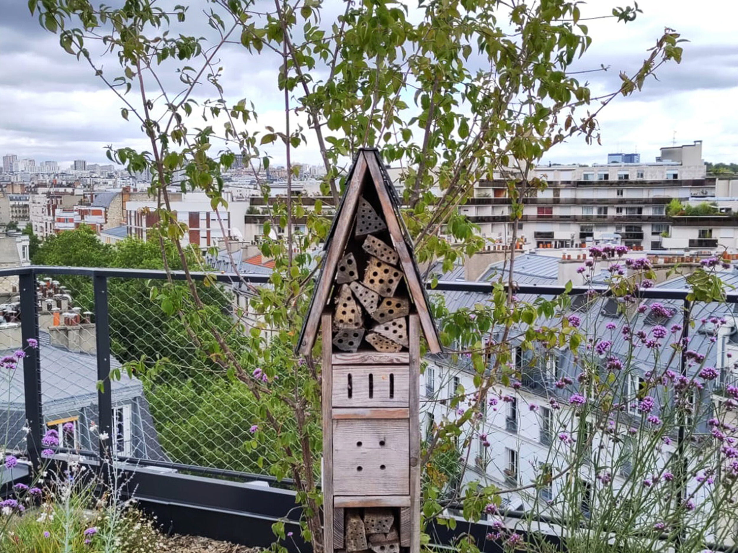 Ledru Rollin - Topager