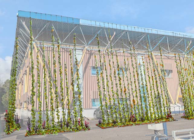 PlantOmbre, un projet de recherche avec l&rsquo;INRAE - Topager