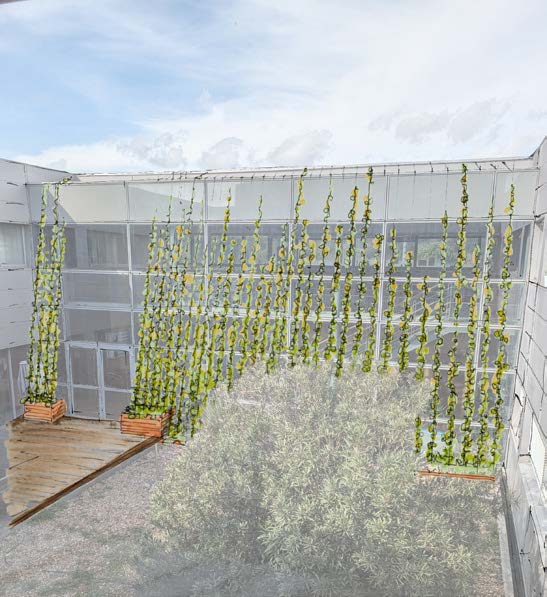 PlantOmbre, un projet de recherche avec l&rsquo;INRAE - Topager